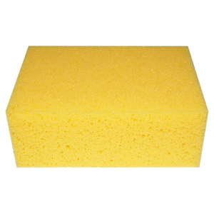 Sponge Professional -0